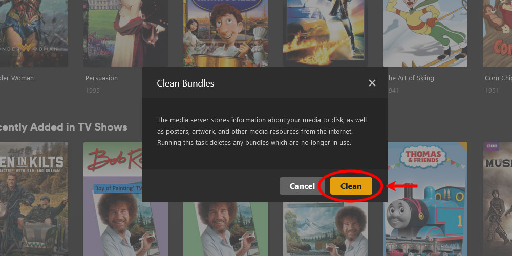 The Clean Bundles Dialog in Plex.