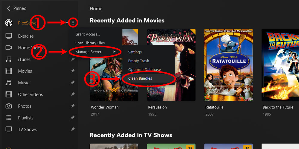 The Clean Bundles Option in Plex.