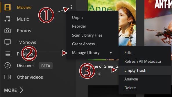 The Empty Trash for Library Option in Plex.