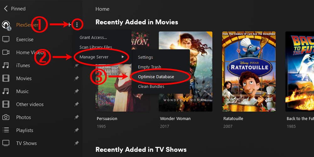 The Optimize Database Option in Plex.