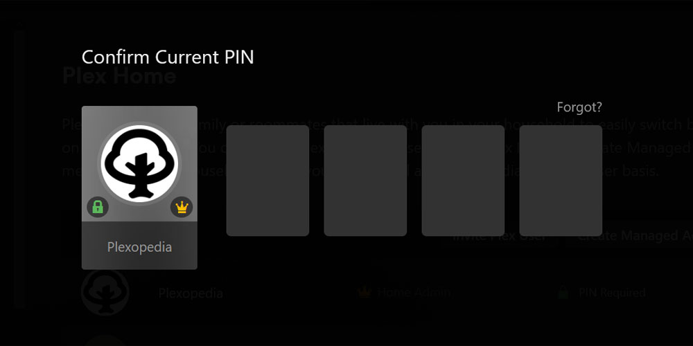 Plex Confirm Current PIN.