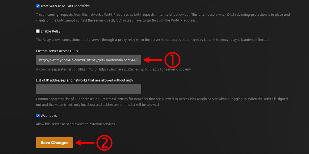 Custom server access URLs field in Plex.