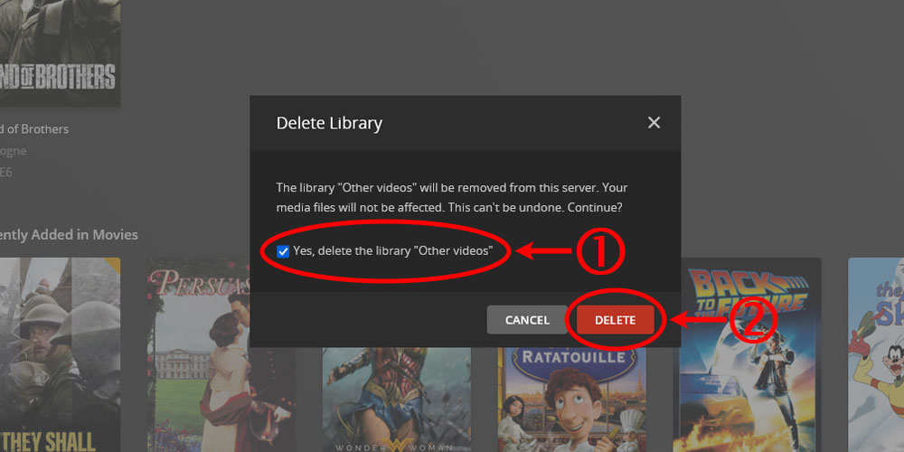 Plex Delete Library dialog.