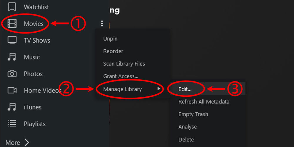 Plex Edit Movie Library Option.