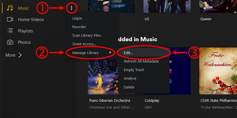 Plex Edit Music Library Option.