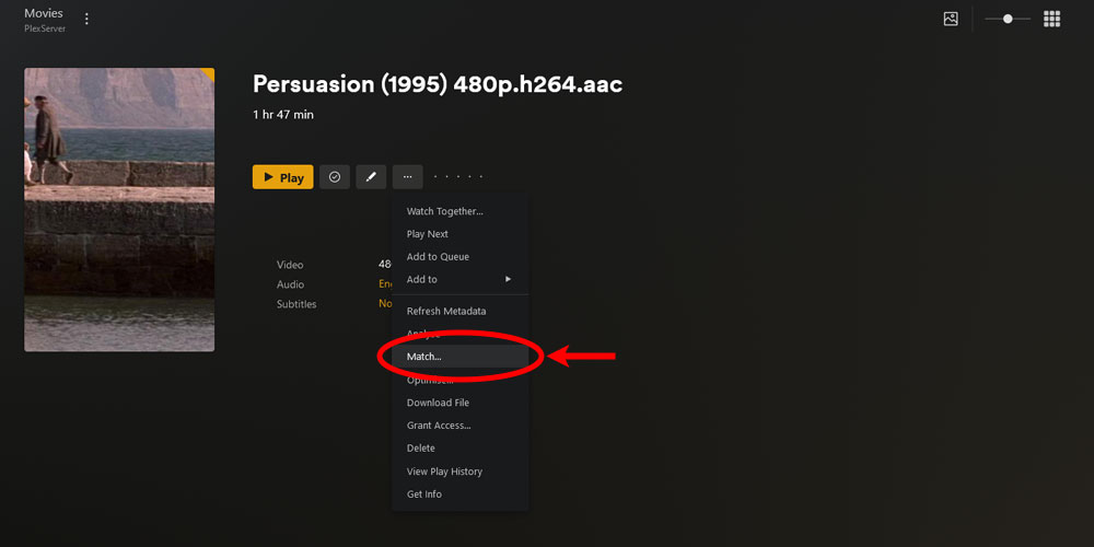 Plex Media Item Match Option.