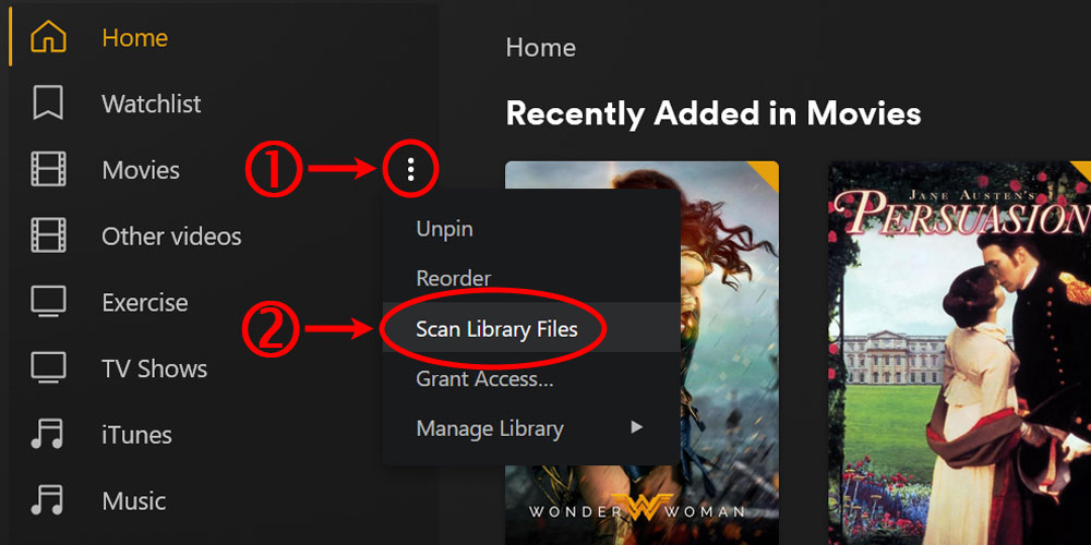 Plex Movies - Scan Movie Library Files.