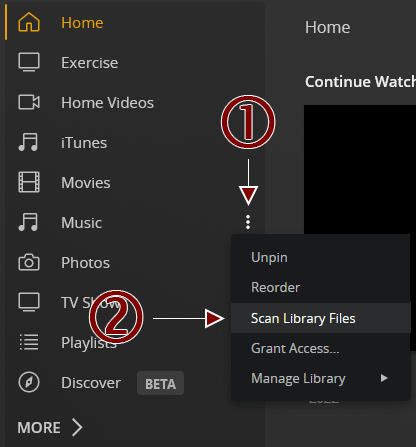 Plex Music - Scan Music Library Files.