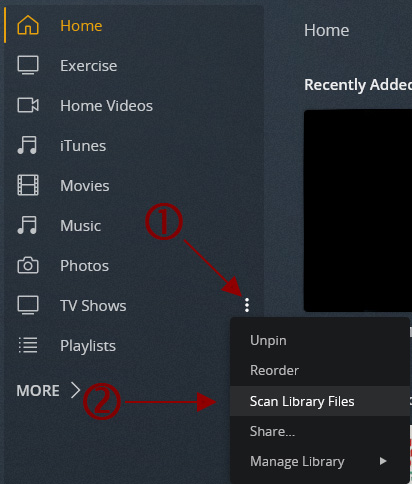 Plex TV Shows - Scan Library Files.