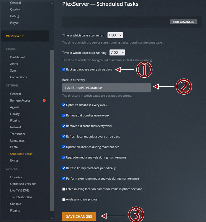 Plex Scheduled Tasks Advanced Options.