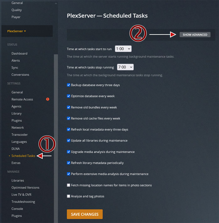 Plex Scheduled Tasks Options.