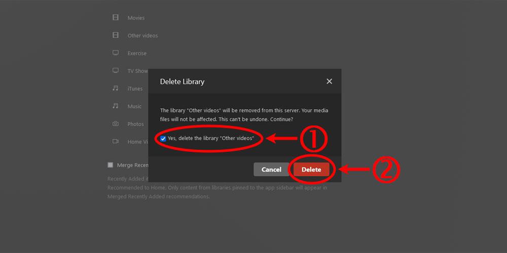 Plex Delete Library dialog.