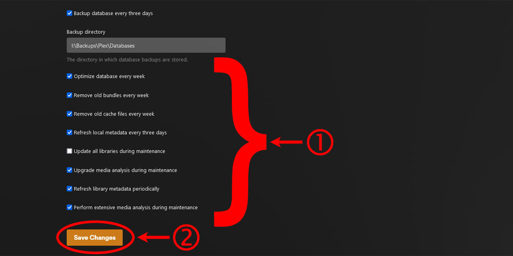 Plex Scheduled Tasks.