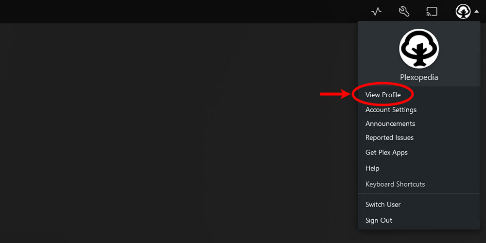 The View Profile Option in Plex.