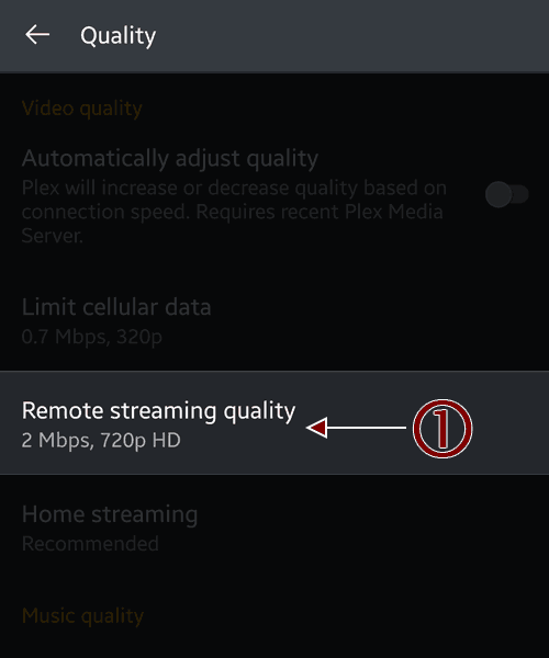 The Remote Streaming Quality Option - Plex for Android.