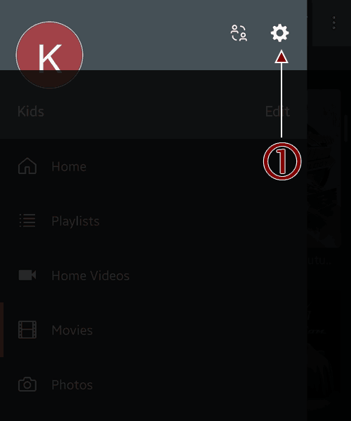 The Settings Icon - Plex for Android.
